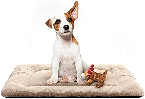 Dog Crate Pad Washable Dog Bed for Crate Medium Cozy Mat 30-Inch Cream by VERZEY