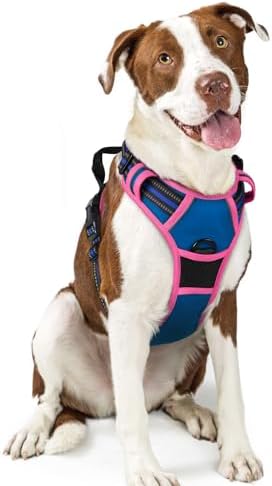 rabbitgoo Dog Harness, No Pull for Large Dogs with 2 Leash Clips, Pet Vest by rabbitgoo