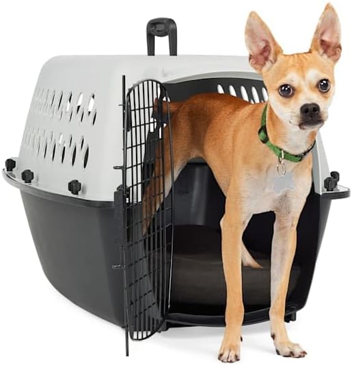 EveryYay by Petco Portable Plastic Pet Kennel 24" L X 16" W X 14" H Grey