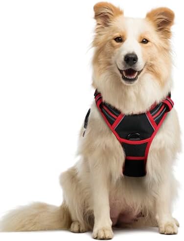 rabbitgoo Dog Harness, No Pull Medium Sized with 2 Leash Clips, Pet Vest by rabbitgoo