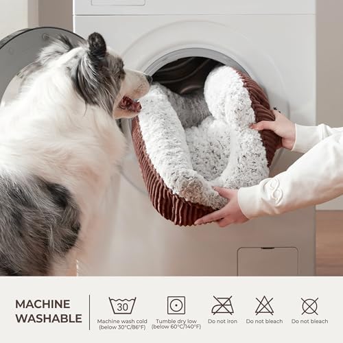 Cute Dog Bed for Small Medium Dogs,Washable Cat Beds, 30in - Image 5