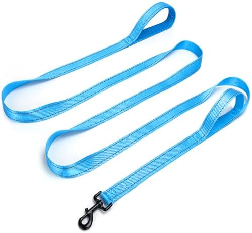 Traffic Handle Dog Leash 10FT Reflective Lead Large Medium Dog by SEPXUFORE