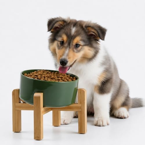 Petygooing Elevated/Raised 15°Slanted Ceramic Dog Bowl for Small and Medium Breeds, Tilted Anti Slip Pet Feeding Bowl,Food Water Dish with Stand for Cats and Dogs (28 OZ/3.6 Cups) Rust Green by PetygooingforYOURLOVEDPET