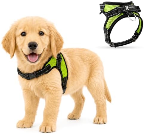 No Pull Reflective Adjustable Dog Harness with Handle- Comfortable Soft All Weather Mesh, Easy On Puppy Harness for Small Medium and Large Dogs (Green) Small by Copatchy