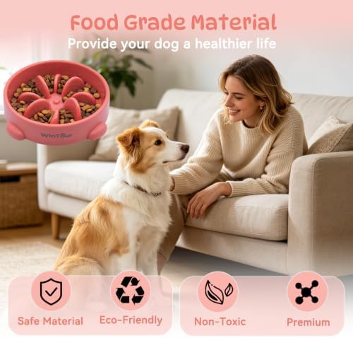 WinTour Slow Feeder Dog Bowls for Small Medium Pets, Round PP Dish, 1 Pack - Image 5