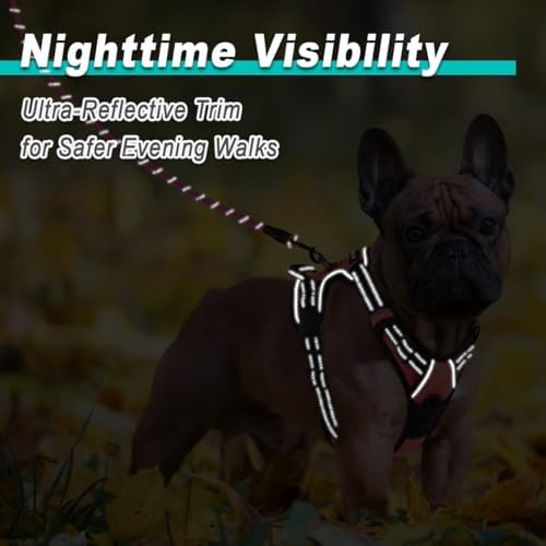 BARKBAY Dog Harness for Small Sized Dog No Pull 2 Leash Clips Dog Vest - Image 5
