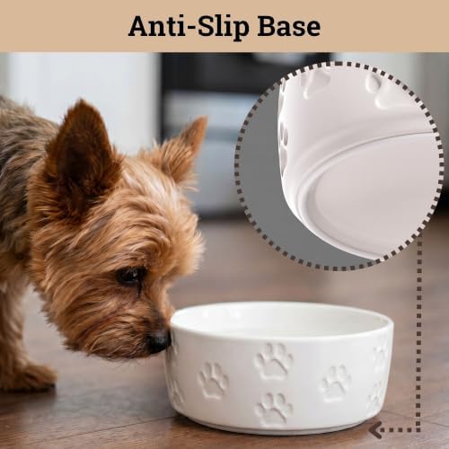 Ceramic Dog Bowl Set of 2 with Anti-Skid Base, 5.5"W x 2"H, 2 Cup Capacity - Image 4
