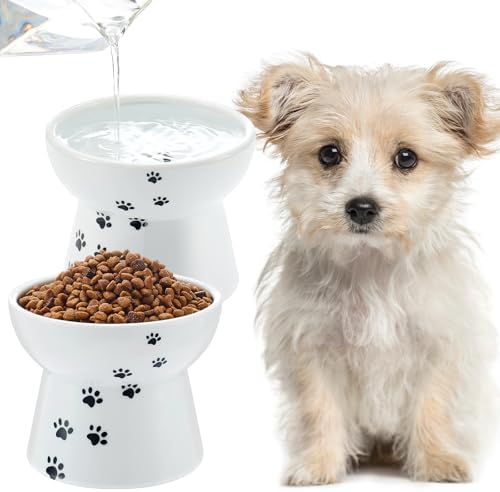 Teenyyou 2 Pack Elevated Dog Bowls for Small Dogs and Cats, 3.7" H x 4.8" W by Teenyyou