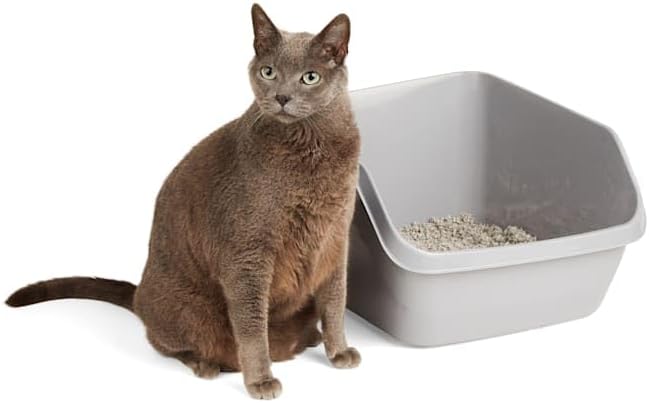 So Phresh Scatter Shield High-Back Litter Box Grey Large 18.5" L X 15" W X 8.5" H