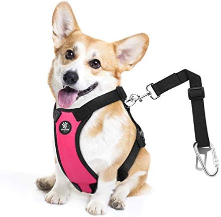 VavoPaw Dog Seat Belt Vest Harness for Car, 2 in 1 Seatbelt Buckle by VavoPaw