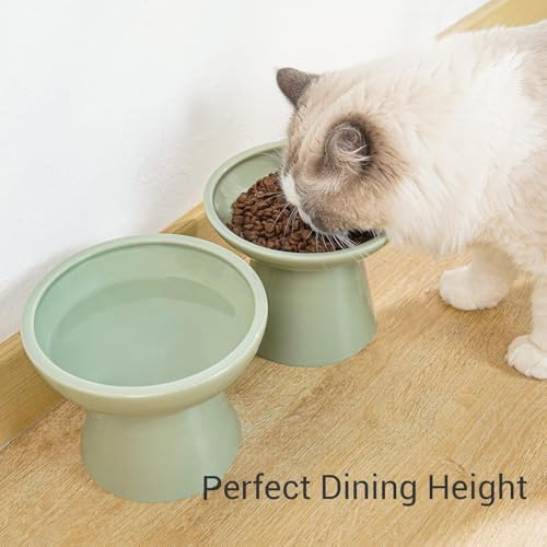 CEEFU 2-Pack Elevated Ceramic Cat Bowls Extra Wide for Food & Water - Image 4