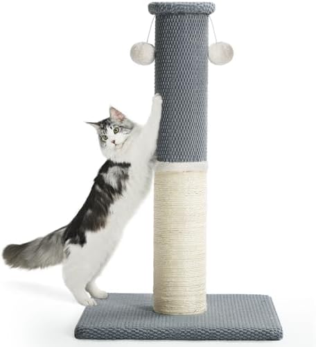 Made4Pets Tall Cat Scratching Post with Sisal & Carpet for Indoor Cats, 33" by Made4Pets
