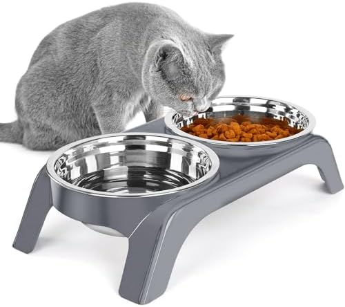 Elevated Cat Bowls, Anti Vomiting Raised Cat Food Bowl with 2 Stainless Steel Bowls, Prevent Neck Pain Cat Bowl Set, ABS Anti Slip Stand Cat Bowls for Indoor Cats & Puppies (Grey) by BEFOCO
