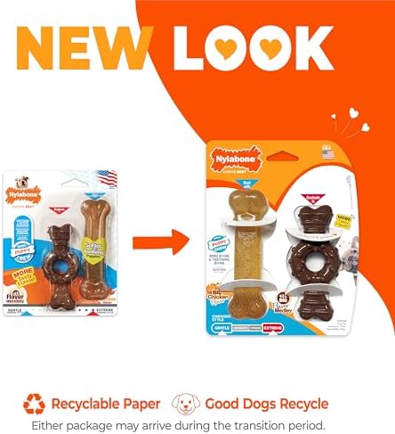 Nylabone Puppy Chew Teething Bone and Ring Bone Dog Chew Toys, 2 Count - Image 3