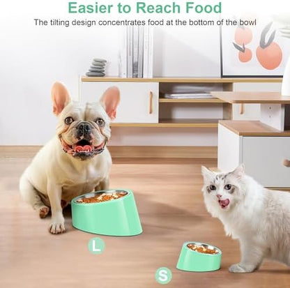 Tilted Dog Bowl Non-Slip & Non-Spill Pet Feeder with Elevated Detachable Melamine Stand, Easy to Get Food Dog Dish, S/100ml Green - Image 5