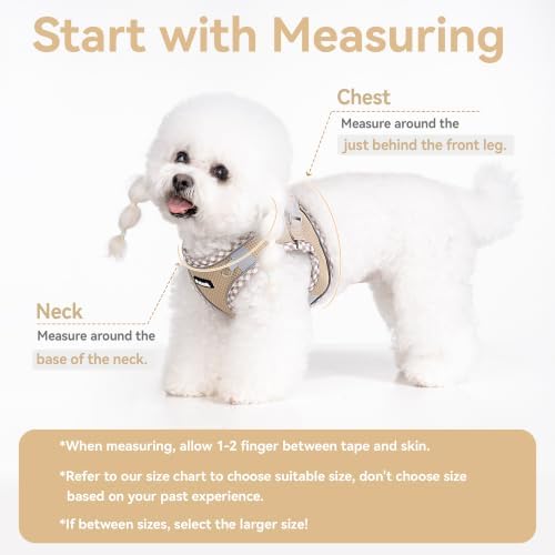 Petank Step in Dog Harness No Pull and Leash for Small Medium Dogs Cats. - Image 4