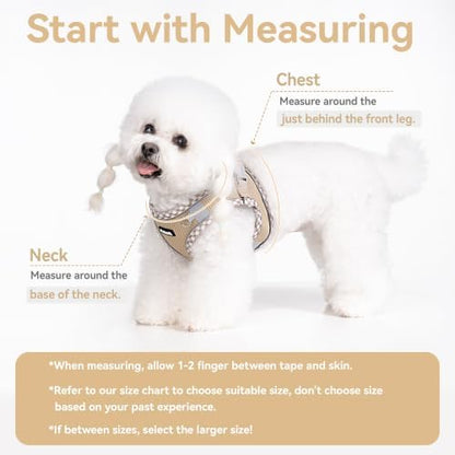 Petank Step in Dog Harness No Pull and Leash for Small Medium Dogs Cats. - Image 4