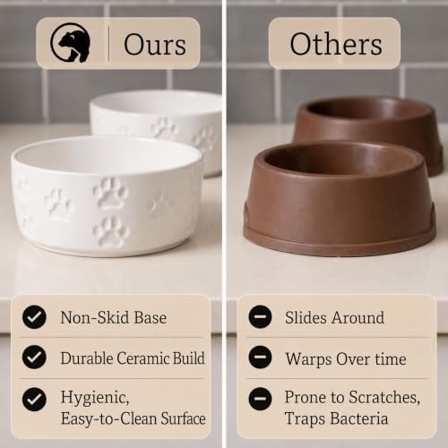 Ceramic Dog Bowl Set of 2 with Anti-Skid Base, 5.5"W x 2"H, 2 Cup Capacity - Image 5