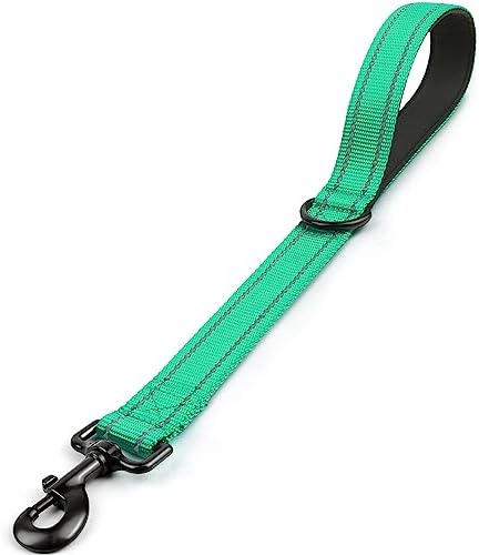 Joytale Short Dog Leash for Close Control & Training, 18", Teal by Joytale