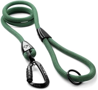 MADE TO ROAM Premium Explorer Leash - Climbing Rope Leash with Autolocking Aviation Aluminum Carabiner - Oregon Haze, 4ft by MADETOROAM