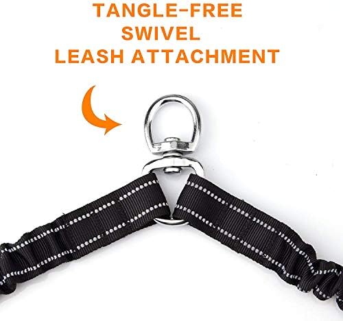 Double Dog Leash for Two Dogs - No Tangle, Comfortable Shock Absorbing Reflective Bungee Leash - Image 4