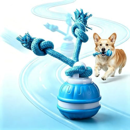 Interactive Dog Ball Toy,Moving DogToys (Blue) by Unknown