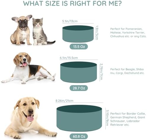 SPUNKYJUNKY 60 OZ Ceramic Dog and Cat Bowl, Modern Cute Weighted Food Water Bowl for Replacement Light Green (1 Pack) - Image 3