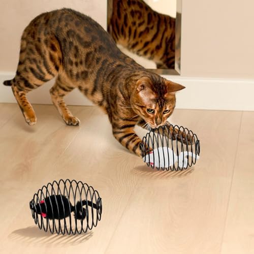 Jecery 5 Pcs Cat Toys Spring,Mouse,Black - Image 6