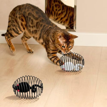 Jecery 5 Pcs Cat Toys Spring,Mouse,Black - Image 6