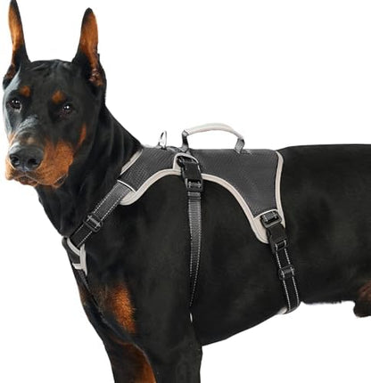 Huntboo Escape Proof Dog Harness, Dachshund Harness, Reflective Dog Harness with Handle, Durable,Adjustable Vest for Small Medium Large Dogs Walking, Training, and Running Gear (Black,XL) by Huntboo