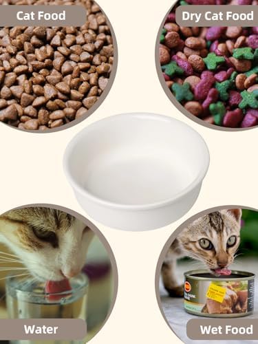 GDCZ Elevated 15 Oz Ceramic Double Cat Bowls with 11x3.5 Inch Stand (White) - Image 5