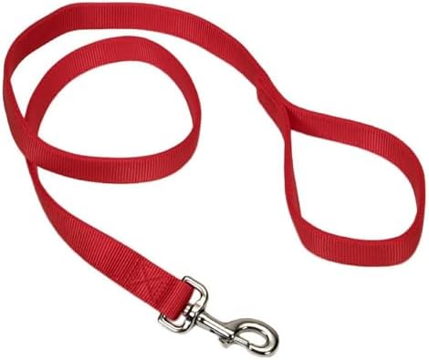 Coastal Pet Double-Ply Dog Leash - Bolt Snap Attachment to Collars and Harnesses - Nylon Dog Walking Leash for Small, Medium and Large Dogs - Red - 1" x 4' by CoastalPet