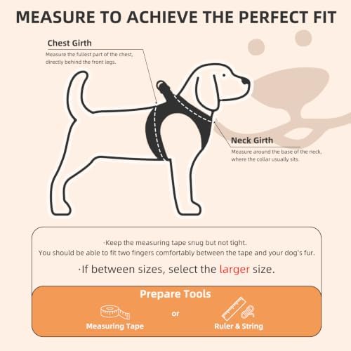 PUPTECK Dog Harness, Collar and Leash Set No Pull for Small Medium Sized - Image 2