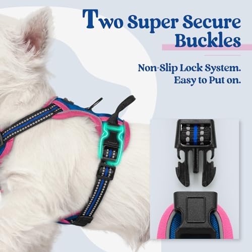 rabbitgoo Dog Harness, No Pull for Small Dogs with 2 Leash Clips, Pet Vest - Image 3