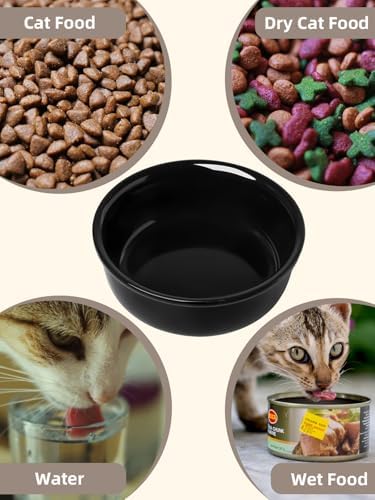 GDCZ Elevated 15 Oz Ceramic Double Cat Bowls with 11.6x2.5 Inch Stand (Black) - Image 5