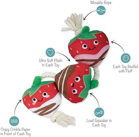 Fringe Studio Plush Dog Toy with Rope, Covered with Love, Petshop Collection (314495) - Image 2