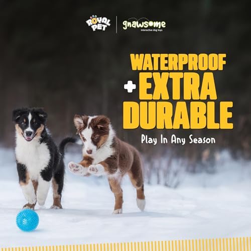 Gnawsome™ 4.5” Spiky Squeaker Ball Dog Toy - Extra Large, Cleans Teeth and Promotes Good Dental and Gum Health for Your Pet, Colors will vary, 4.5" - Image 4