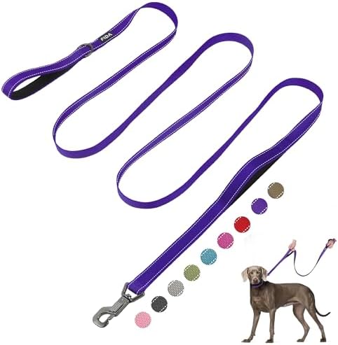 Fida 10 FT Heavy Duty Dog Leash, Dual Padded Handles for Medium Large Dogs by Fida