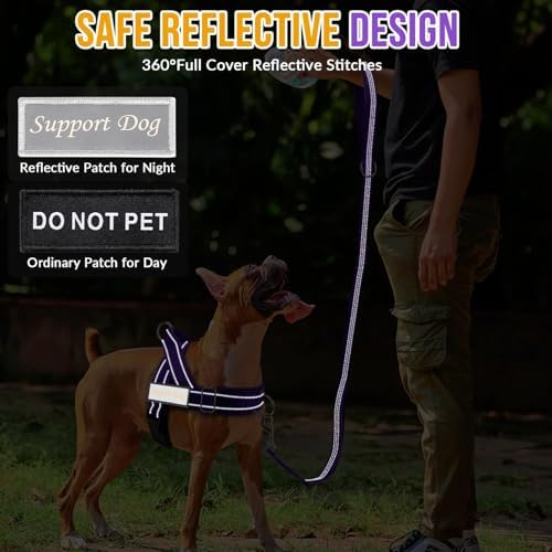 SlowTon No Pull Dog Harness and Leash Set - Heavy Duty, Soft Padded - Image 7