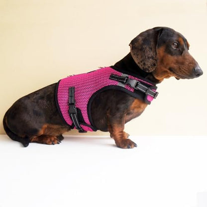 Mini Dachshund Harness – No Armpit Rub, Escape Proof, Reflective, No Pull Vest-Style Dachshunds Harness,Breathable Mesh Dog Harness (Rose Red, M: Chest 42-52cm (16.5"-20.5")) - Image 6