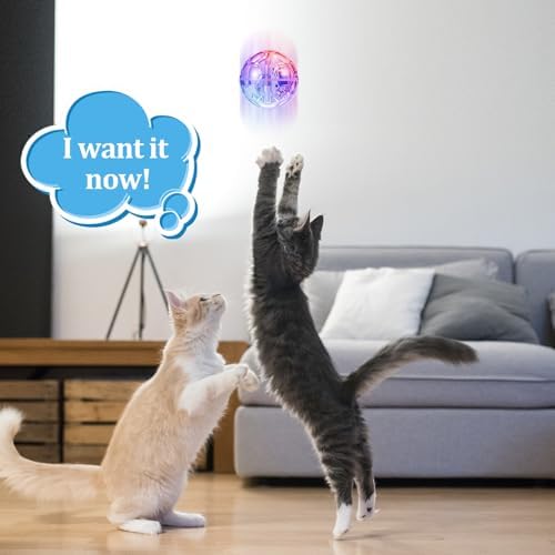 Sratte 2 Pcs Rechargeable Light up Cat Ball Ghost Hunting, Clear - Image 6