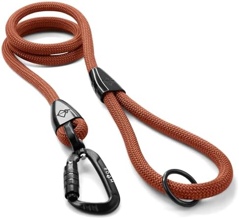 MADE TO ROAM Premium Explorer Leash - Climbing Rope Leash with Autolocking Aviation Aluminum Carabiner - Nevada Evening, 4ft by MADETOROAM