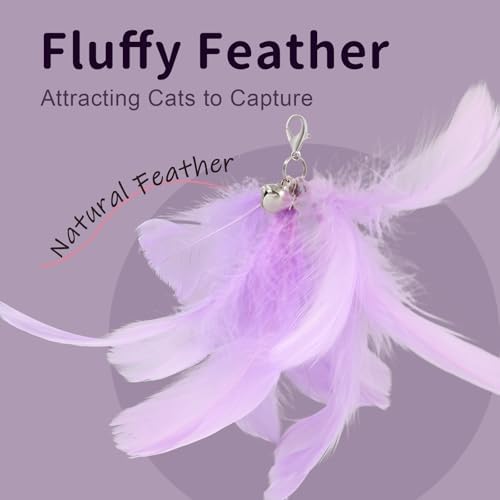 SONGWAY Cat Wand Toys for Indoor Cats - Cat Toy Set with Retractable Teaser Wand and 6 PCS Fairy Feather Toy Refills, Dragonfly Tassel Cat Toys Interactive, Purple - Image 2