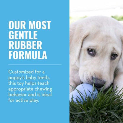 KONG Puppy, Natural Rubber Teething Chew Toy, for Medium Puppies, Blue - Image 4