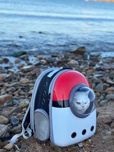 Front Expandable Cat Backpack Carrier, Fit up to 20 lbs, Space Capsule Astronaut Cat Bubble Backpack to Carry and Transport Large Fat Cat - Image 6