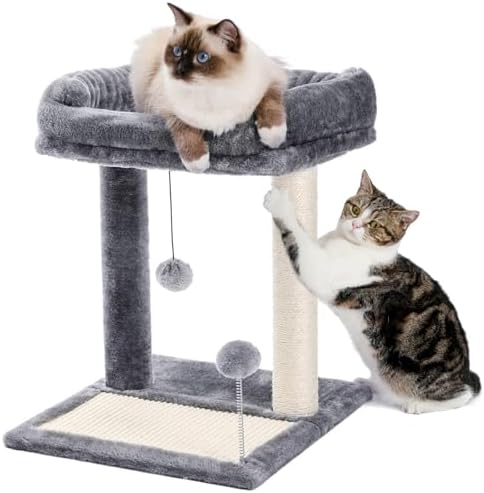 PAWZ Road Cat Scratching Post with Bed, Small Cat Tower with Pad & Ball by PAWZRoad