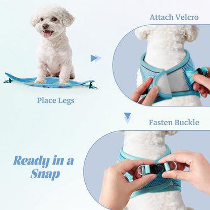 No Pull Dog Puppy Harness and Leash Set Reflective Mesh Vest X-Small - Image 4