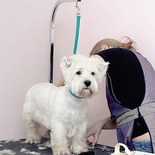 Jelly Pet Grooming Loop Slip Style (3/8" x 25", Teal) | Made in the USA - Image 3