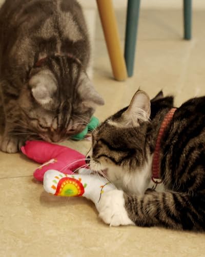 CiyvoLyeen Plush Cactus Llama Catnip Toys for Indoor Cats 5 Pack - Image 6