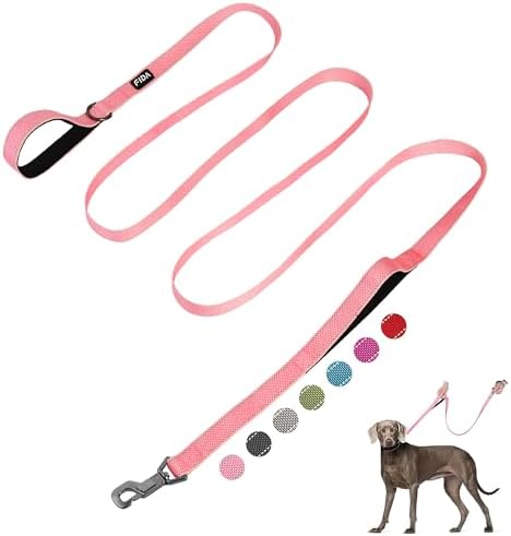 Fida 10 FT Heavy Duty Dog Leash, Dual Padded Handles for Medium Large Dogs by Fida